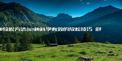 12种放松方法(12种科学有效的放松技巧 舒缓压力，享受宁静)